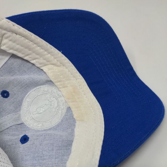 Planet Earth's Favorite Vodka Absolut Planet Trucker Hat Multicolor OS Mesh Back - Picture 8 of 8